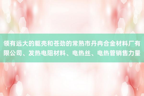 领有远大的躯壳和苍劲的常熟市丹冉合金材料厂有限公司、发热电阻材料、电热丝、电热管销售力量